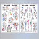 Anatomy chart- Trigger Points I and II Chart– Summit Franchise Supply